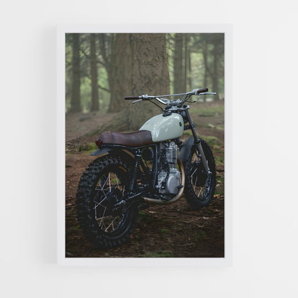 Poster Riders in the Woods (vue 3)